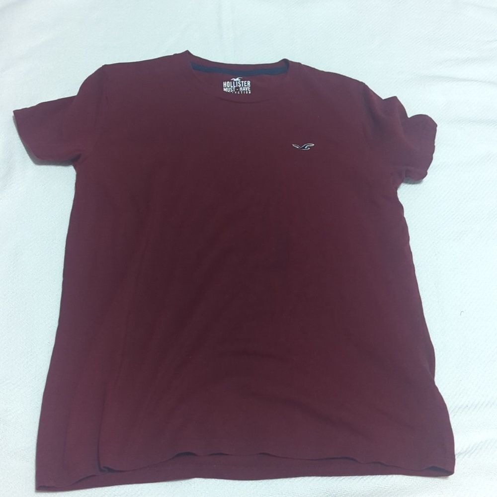 Hollister Must-Have Collection Mens Sm Burgundy Maroon Cotton Seagull TShirt 507